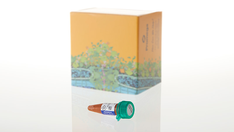 Nano-Glo® Extended Live Cell Substrates