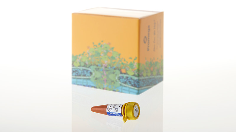 Nano-Glo® Extended Live Cell Substrates
