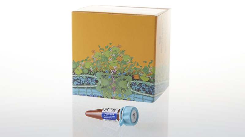 N2622_NanoBRETTM-Tracer-K-8--300ul_3