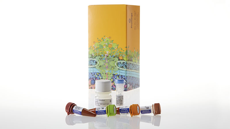 N2641_NanoBRETTM-TE-Intracellular-Kinase-Assay--K-10--1-000-assays_3