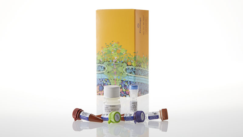 N2651_NanoBRETTM-TE-Intracellular-Kinase-Assay--K-11--1-000-assays_3