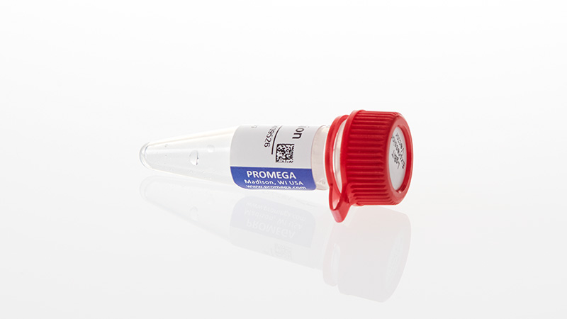 N2681_LgBiT-Expression-Vector_3