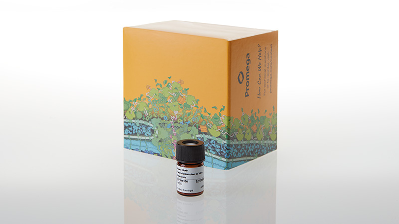 omg × nano mix spore Nano-Glo® Fluorofurimazine In Vivo Substrate (FFz)