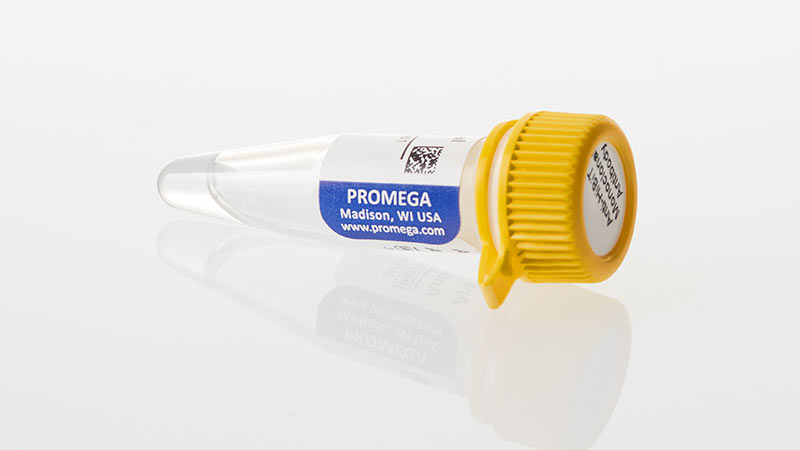 ma5ページ Anti-HiBiT Monoclonal Antibody
