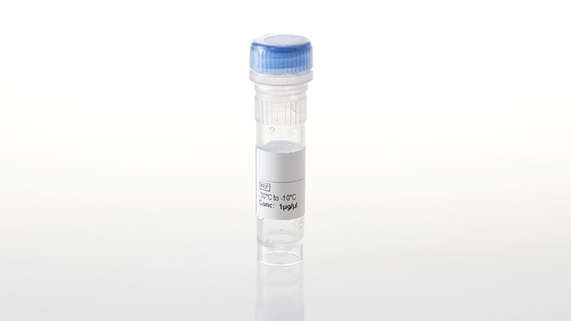 NV2951_NanoLuc--CSNK1A1L Fusion Vector- 20ug