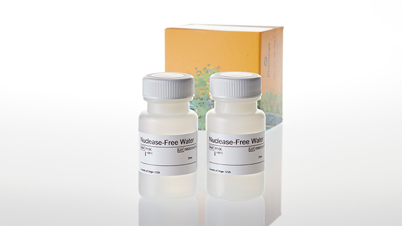 P1193-nuclease-free-water