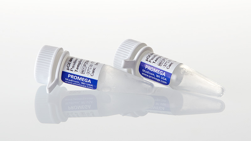 P2561_pGEM--Express-Positive-Control-Template_3