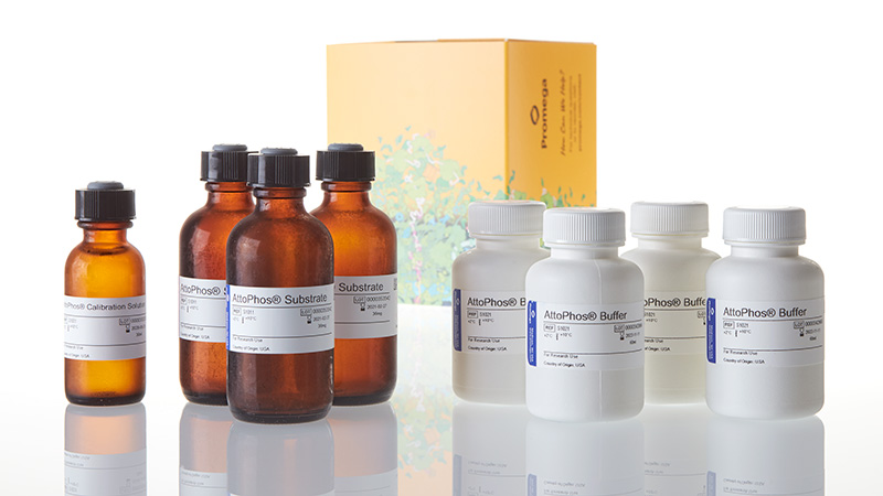 AttoPhos® AP Fluorescent Substrate System
