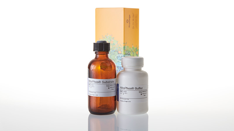 アウフヘーベン　アポリア AttoPhos® AP Fluorescent Substrate System