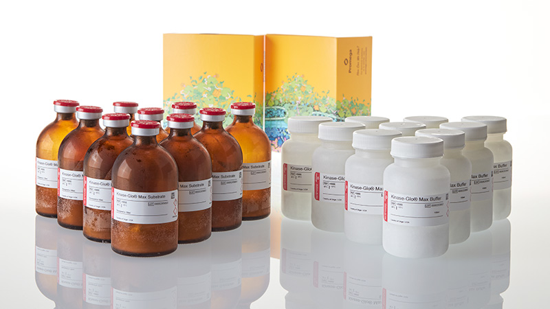 Kinase-Glo® Luminescent Kinase Assays