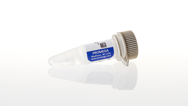 V6411_cGMP-1mM--500ul_3