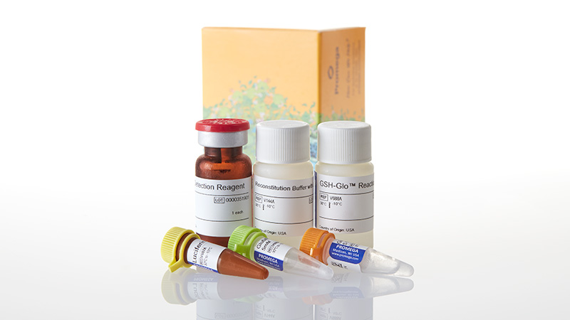 nano glutathione vs glutathione GSH-Glo™ Glutathione Assay
