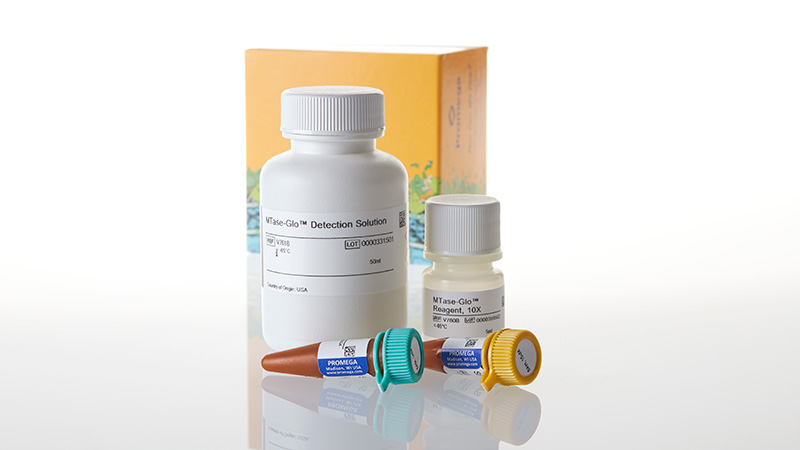 V7602_MTase-Glo- Methyltransferase Assay