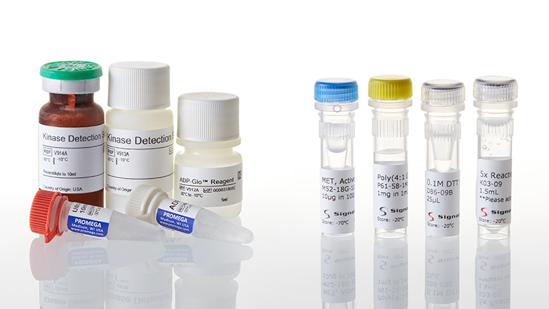 V9571_Kinase-Enzyme-System