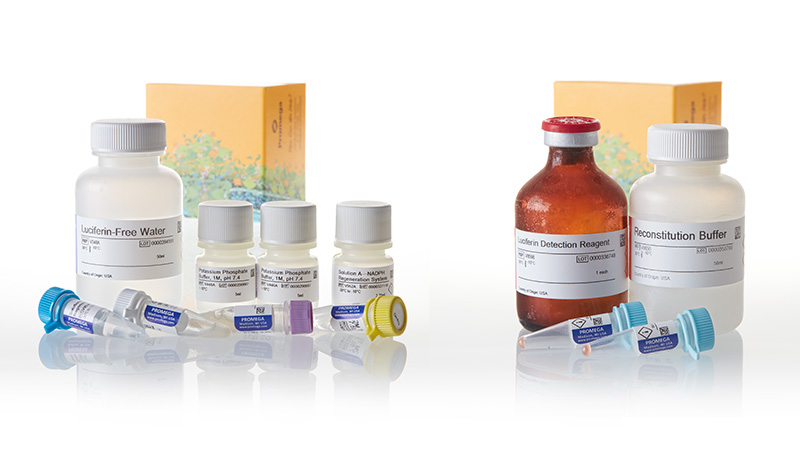 V9910_P450-Glo-CYP3A4 Assay System