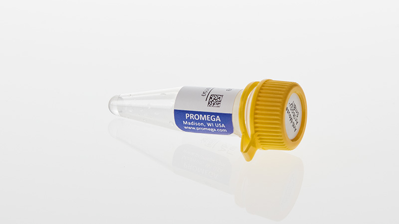 Lumit® Immunoassay Lysis and Detection Kits and Secondary Antibodies