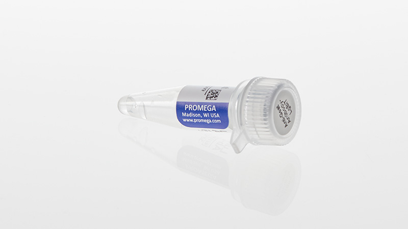 Lumit® Immunoassay Lysis and Detection Kits and Secondary Antibodies