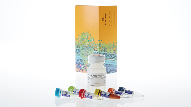 W1152_Lumit--FcRn-Binding-Immunoassay-10X_3
