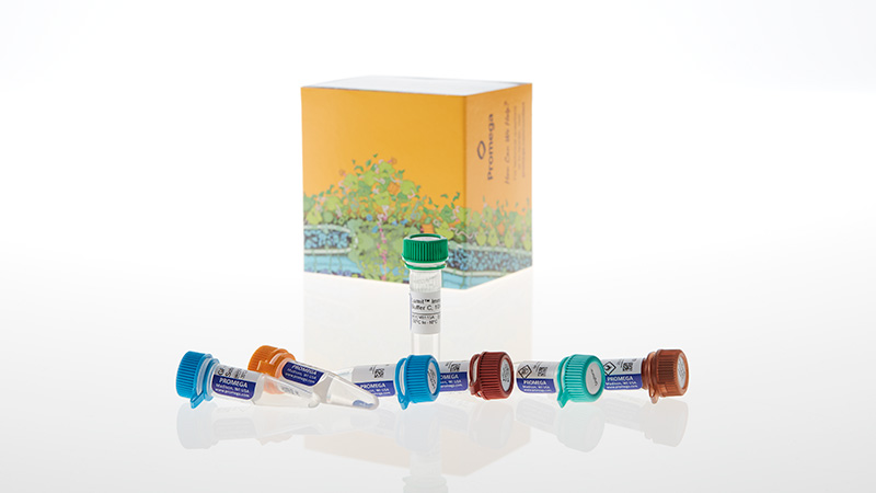 Lumit® Immunoassay Cellular Systems Lumit® Immunoassay Cellular Systems