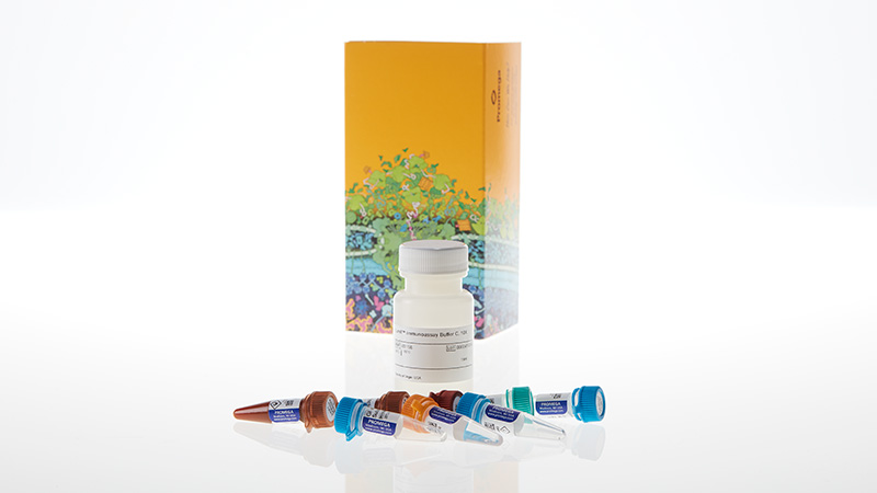 Lumit® Immunoassay Cellular Systems