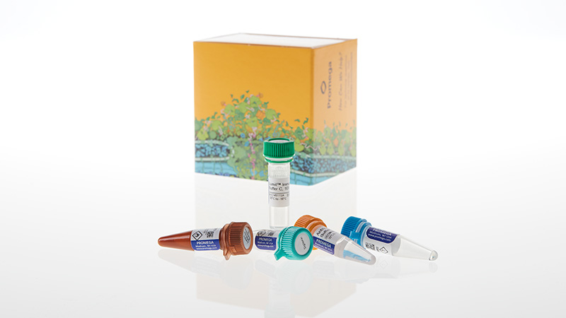 Lumit® Immunoassay Lysis and Detection Kits and Secondary Antibodies