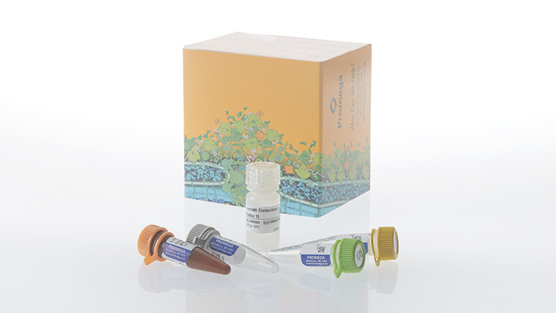 Lumit® IL-12 p70 (Human) Immunoassay