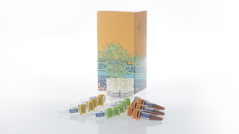 Lumit® IL-12 p70 (Human) Immunoassay
