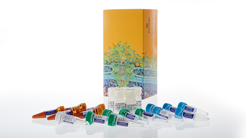 W6012_Lumit-Human-IL-1beta-Immunoassay_3