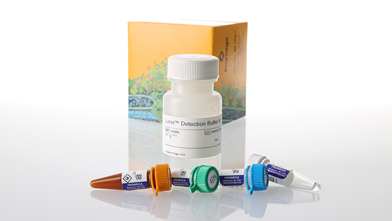 w6021-lumit-il-2-human-immunoassay-1000-assays