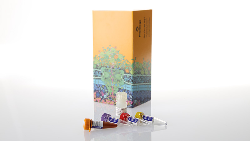 Lumit® IL-6 (Human) Immunoassay