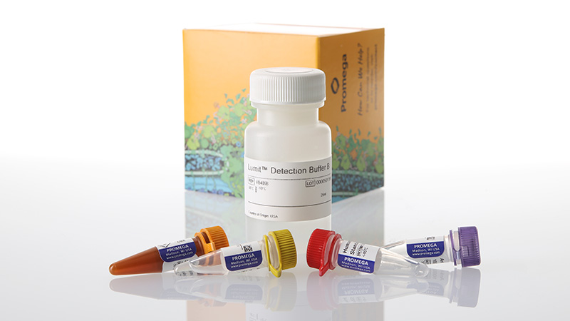 w6031-lumit-il-6-human-immunoassay-1000-assays