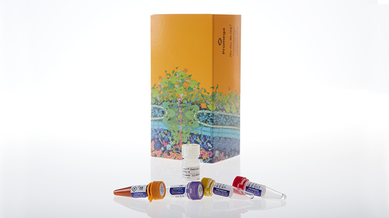 W7010_Lumit-Mouse-IL-1beta-Immunoassay_3