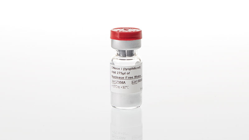 DNase I (lyophilized)