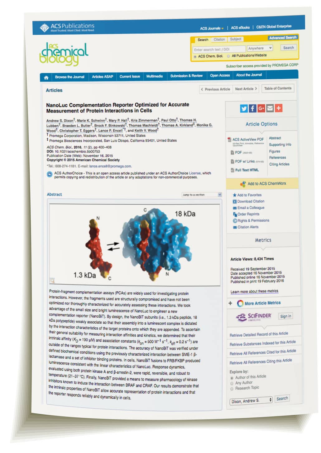 Study Drug Potency and Binding Kinetics with NanoBiT