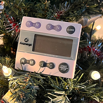 Lab Timer