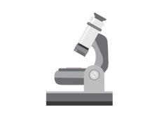 na-2025-tsp-illustration-03