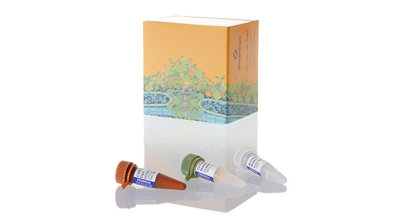 a6000-gotaq-qpcr-master-mix-b