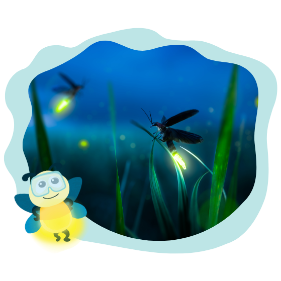 Bioluminescence Image in blob share with Lumie firefly