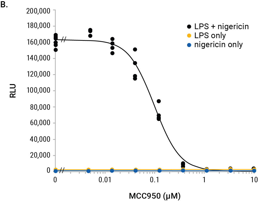 MCC950 inhibition IL-1b release Lumit immunoassay