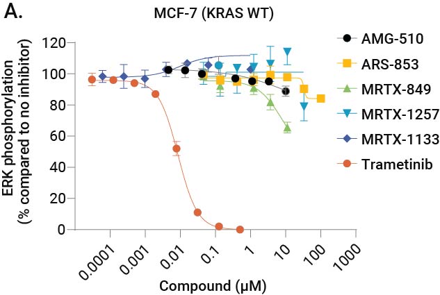 Lumit® Immunoassay Cellular Systems—Complete Assays