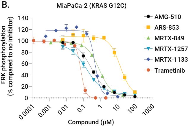 Lumit® Immunoassay Cellular Systems—Complete Assays