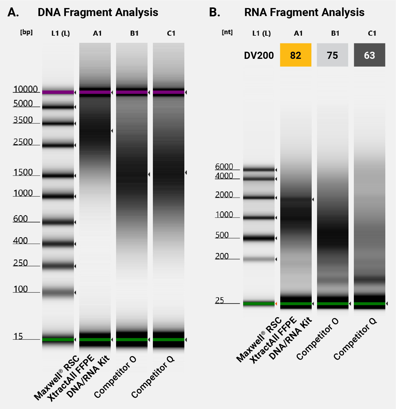 Gel photos comparing FFPE DNA and RNA fragment size and quality from several extraction kits (Maxwell® RSC XtractAll FFPE DNA/RNA Kit and two competitors); DNA fragment size was evaluated using the Agilent TapeStation Assays.