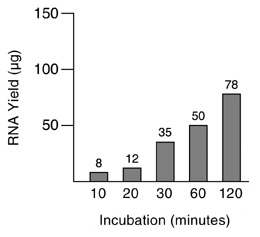RNA yield from RNA synthesis reactions