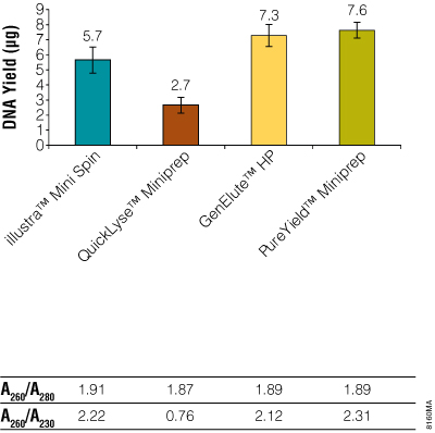 Yield and purity measurements of plasmid DNA isolated from plasmid miniprep kits