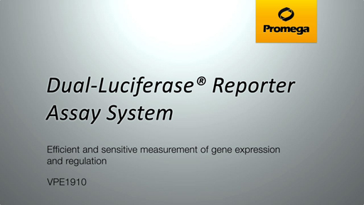 Dual-Luciferase® Reporter Assay System