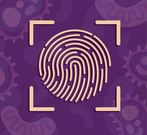 authenticate-a-cell-line