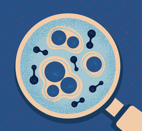 misidentified-cell-lines