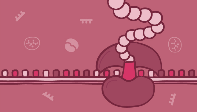 proteinexpressionsubpage-detection-four-web