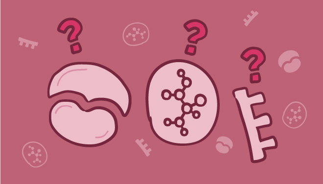 proteinexpressionsubpage-detection-two-web