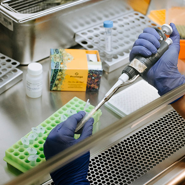 Chymotrypsin, Sequencing Grade